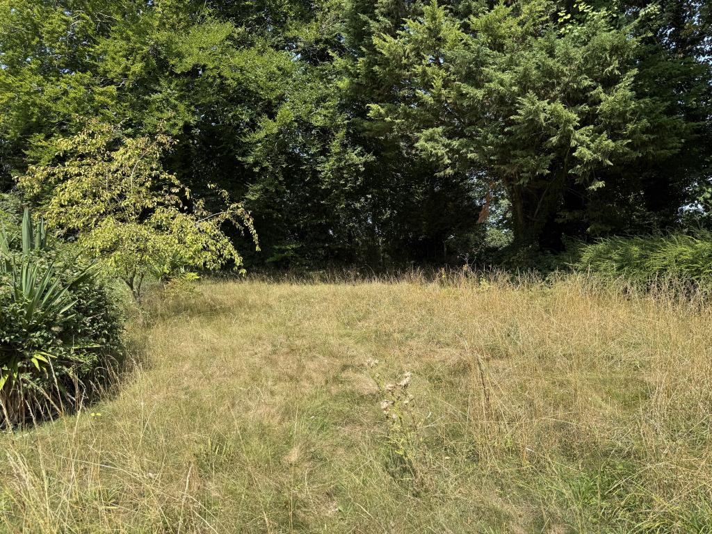 Lot: 121 - FREEHOLD DETACHED BUNGALOW WITH SEPARATE WORKSHOP AND GARAGE ON PLOT OF 0.83 ACRES FOR IMPROVEMENT OR REDEVELOPMENT - Garden looking towards entrance driveway